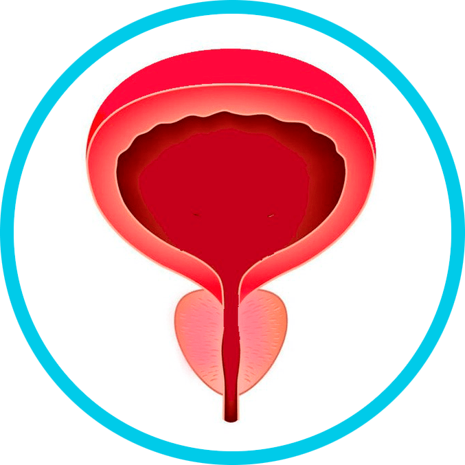 Prevención de la prostatitis